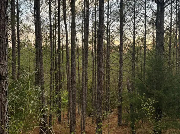 Virg Rd, Preston, MS 39354