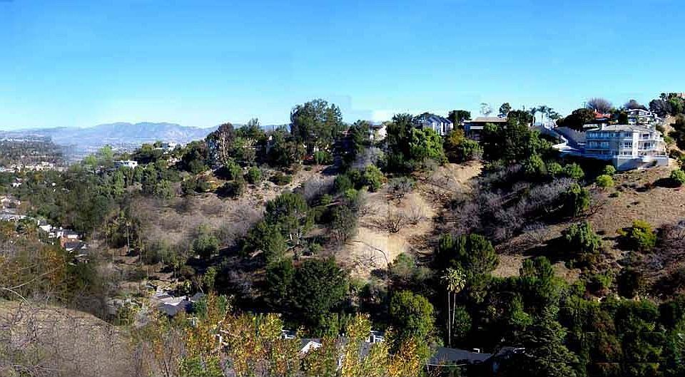 the view from the back of the house.       