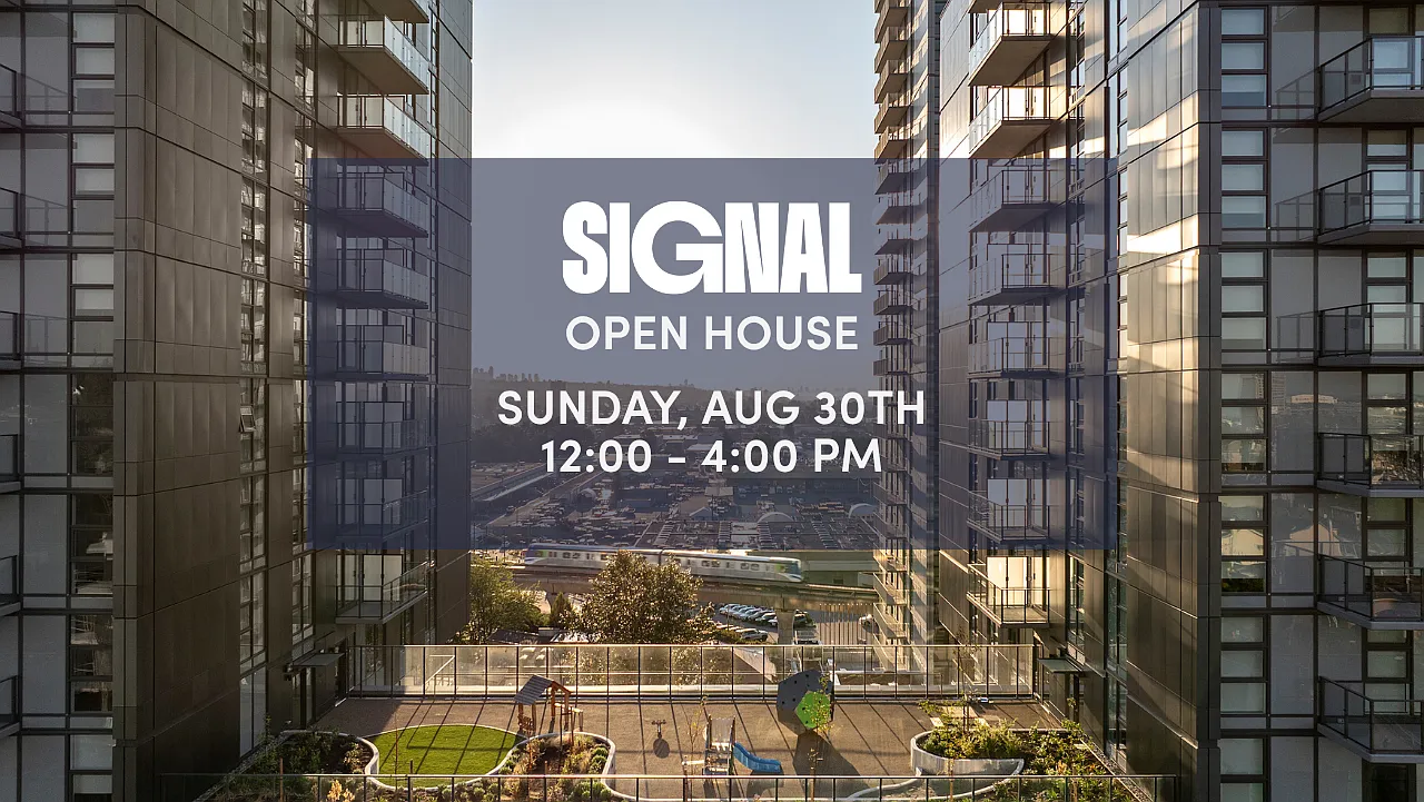 Signal — Photo 2