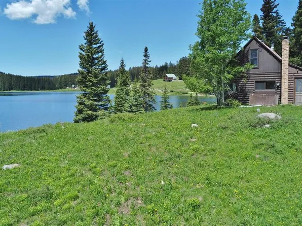 21946 Upper Baron Lake Drive, Cedaredge, CO 81413