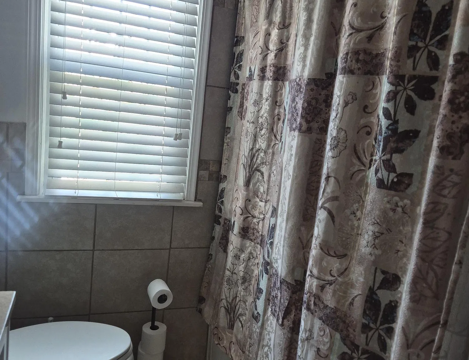 3 bed, 1408 sqft, $750 — Photo 4