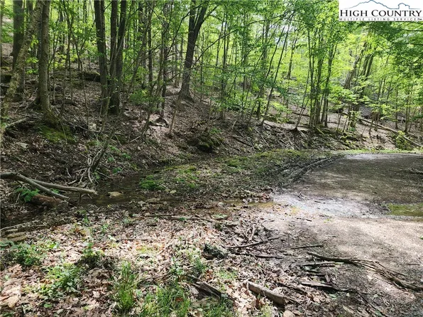 138 Hollow Tree Road, Beech Mountain, NC 28604