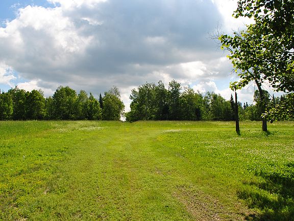Front field.