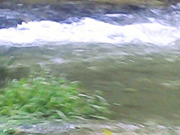 Waterfall @ creek-steps away