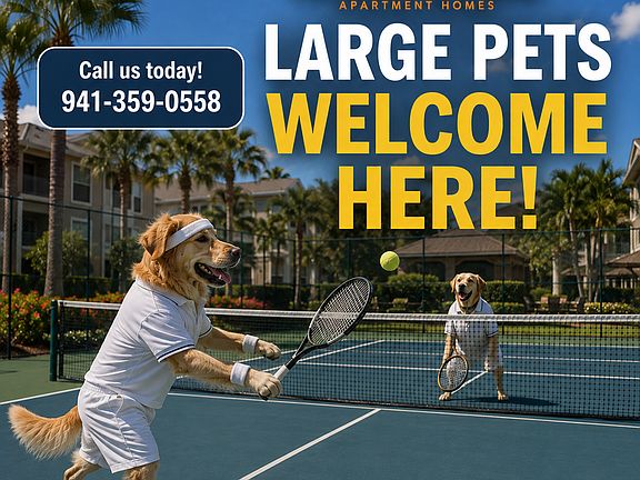 Tennis Anyone?