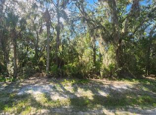 133 Lakeway Dr, Georgetown, FL 32139