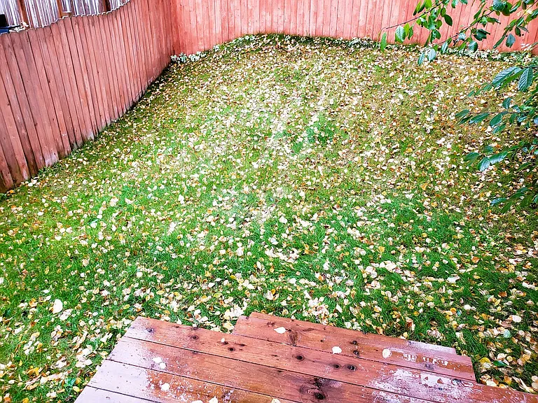 10953 Hannah Jane Pl — Photo 22