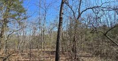 LOT 51 Fife Way, Mountain Home, AR, 72653