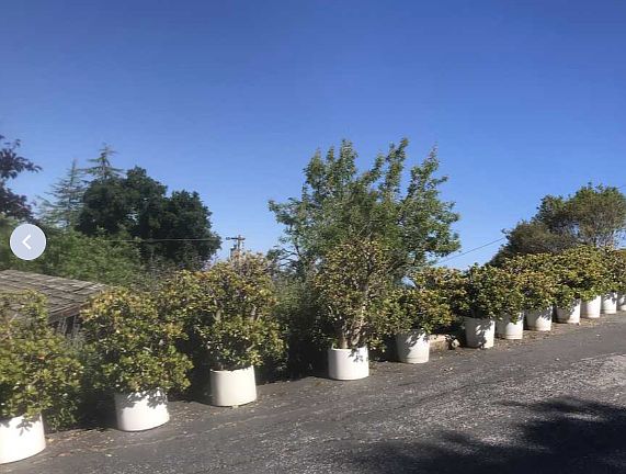 300 feet long private drive way and grown trees provide complete privacy.