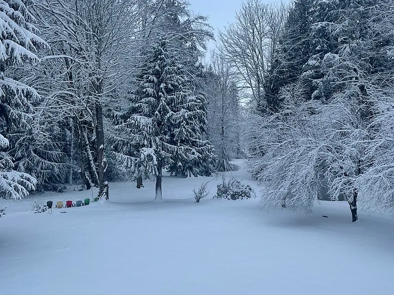 The view out of the master bedroom in the winter.