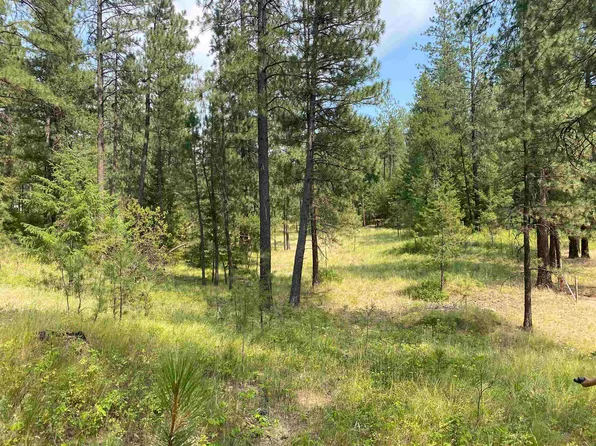 X E Elk Chattaroy Rd, Elk, WA 99009