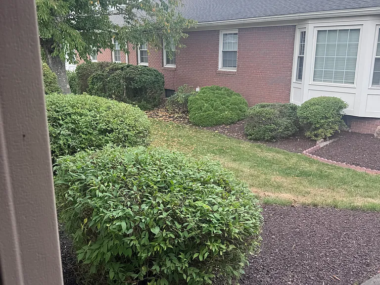 99 Brandywyne Dr #99 — Photo 4