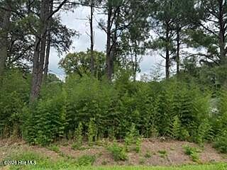 4th image of 1298 Moores Chapel Road LOT 3