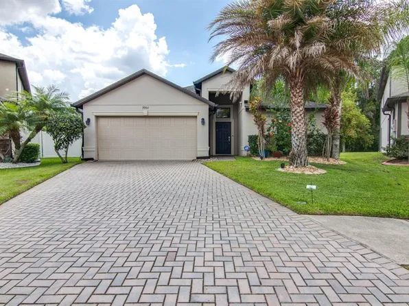 9901 Spice Bush Ct, Tampa, FL 33647