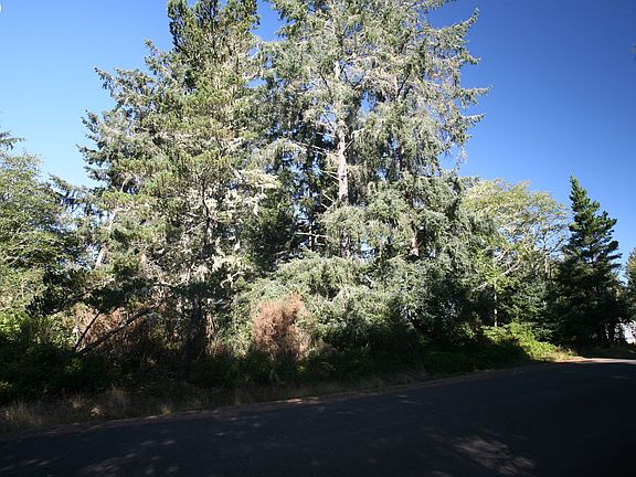 2nd image of Douglas Dr