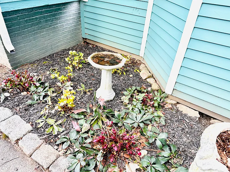15 Oakland St #1/2 — Photo 5