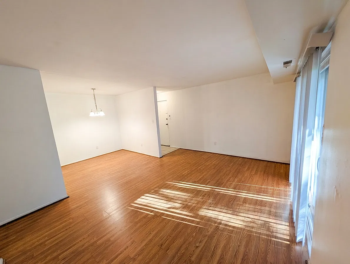 2 bed, 909 sqft, $1,250 — Photo 3