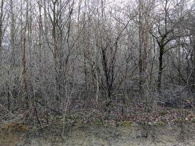 V/l 1 Lowe Plank Rd, Richmond, MI, 48062