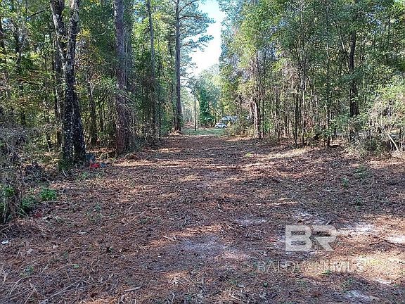 0 Rice Creek Rd, Stockton, AL 36579 | MLS #370224 | Zillow