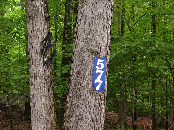 2nd image of 577 Lakeshore Dr