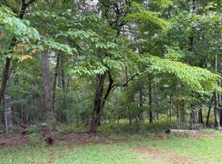 13 Olivia Ln, Ball Ground, GA 30107