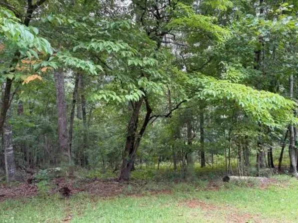 13 Olivia Ln, Ball Ground, GA 30107