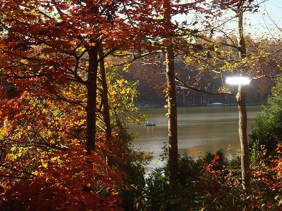 Autumn View - Kitchen