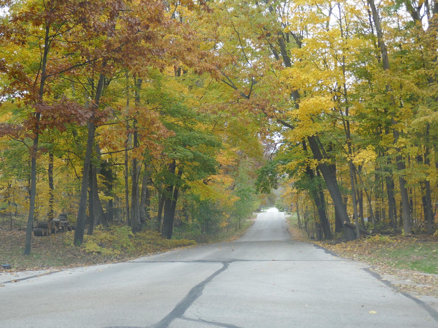 16650 Patricia Ln, Brookfield, WI 53005 Zillow