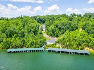 439 Ridgeway Pass, Spring City, TN 37381