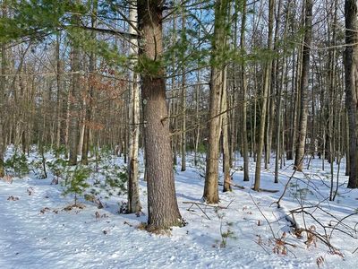 6826 Cherry Ct, Stanwood, MI, 49346
