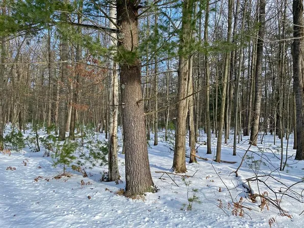 6826 Cherry Ct, Stanwood, MI 49346