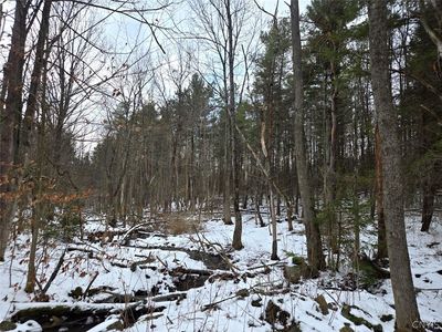 Syler Rd, Warsaw, NY, 14569