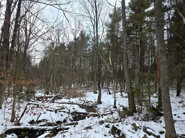 Syler Rd, Warsaw, NY 14569