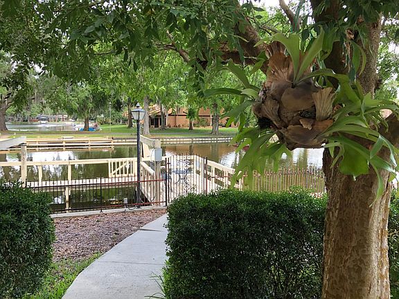 3rd image of 822 Palm Harbor Ct