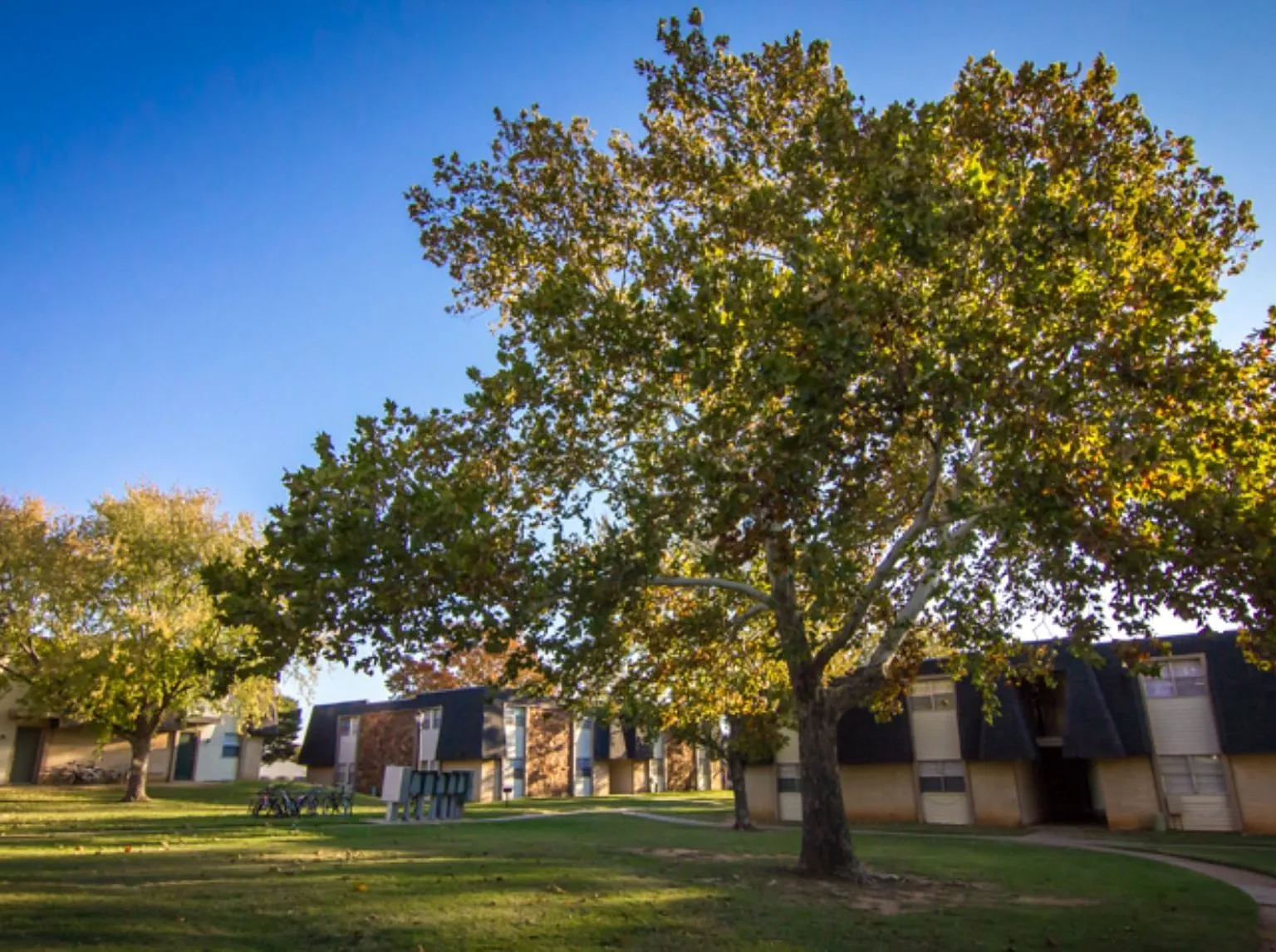 Bryant Grove Apartments — Photo 3