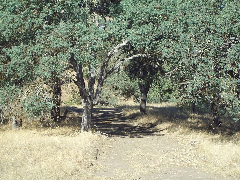 1st image of 20077 Panoche