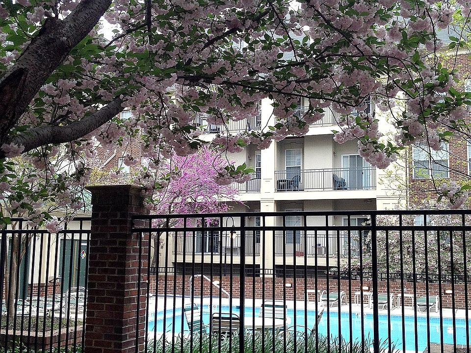 Courthouse Hills Pool