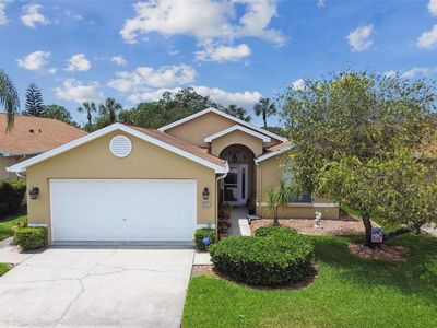 3313 Abigail Ct, New Port Richey, FL, 34655