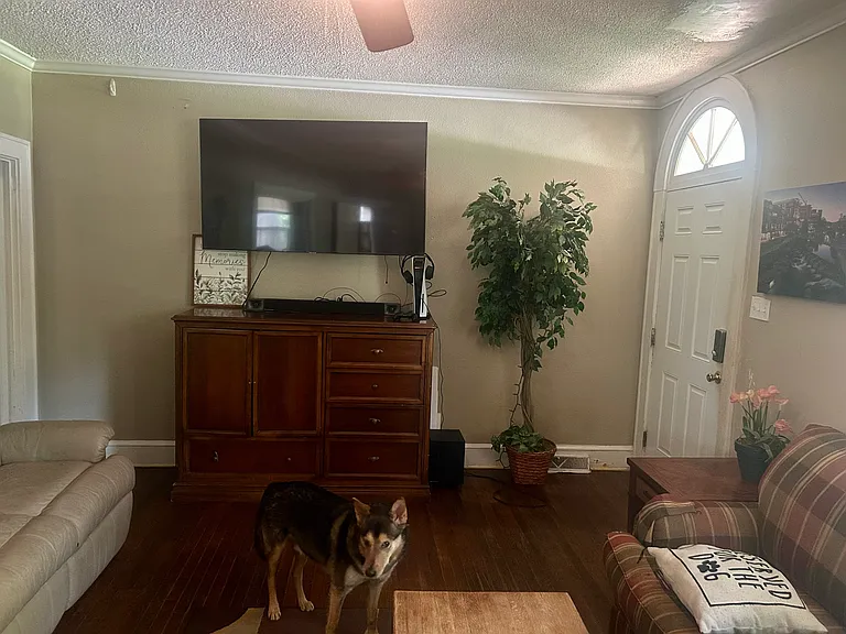 123 Janeway #5 — Photo 8