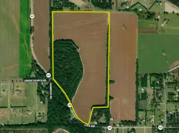 V/l Hwy Lot 42-WP001, Byron, GA 31008