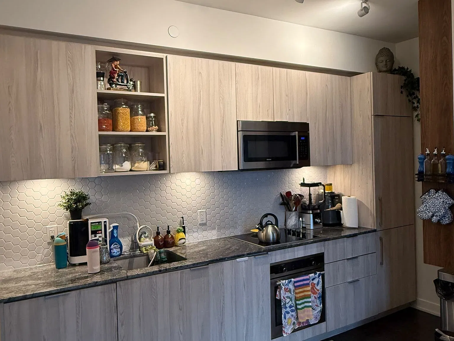 2 bed, $3,500 — Photo 2