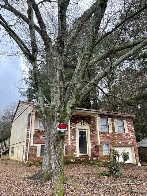 4 bed, 1375 sqft, $2,200 — Photo 3