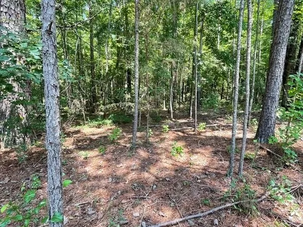 0 County Road 100, Lineville, AL 36266