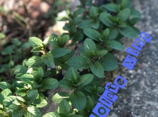 339 Possom Holw, Leasburg, MO 65535