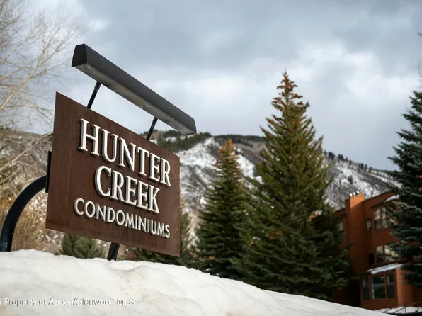 910 Vine St #910, Aspen, CO 81611