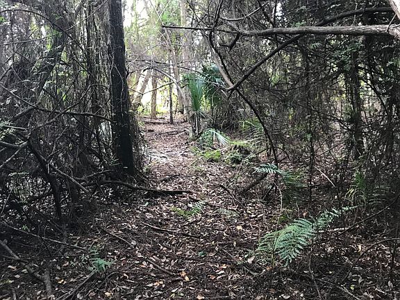 3rd image of 1000 35th Ave