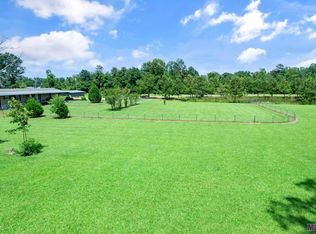 14929 Lewis Rd, Maurepas, LA 70449