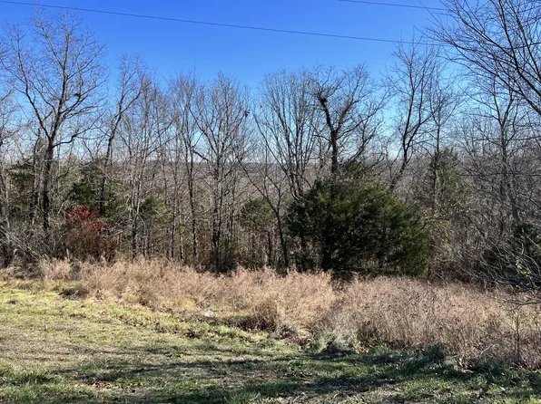 Lot 64 Walnut Springs Drive, Cape Fair, MO 65624