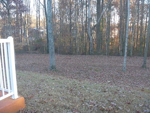 Backyard view