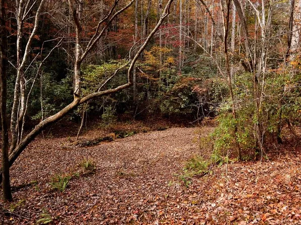 TRACT 2 Ponderosa Dr, Epworth, GA 30541